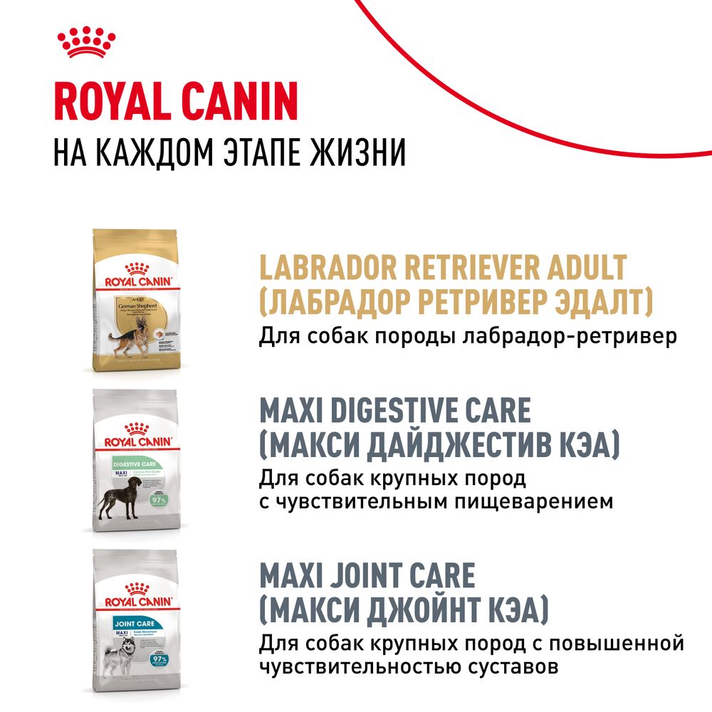 Сухой корм Royal Canin Labrador Retriever Puppy для щенков породы Лабрадор Ретривер до 15 месяцев Сухой корм Royal Canin Labrador Retriever Puppy для щенков породы Лабрадор Ретривер до 15 месяцев