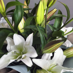 Букет из лилий в упаковке