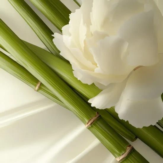 Leonor Greyl Шампунь-крем с экстрактом бамбука для сухих и пушистых волос, 200 мл