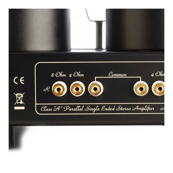 Mastersound Icona Black Wood