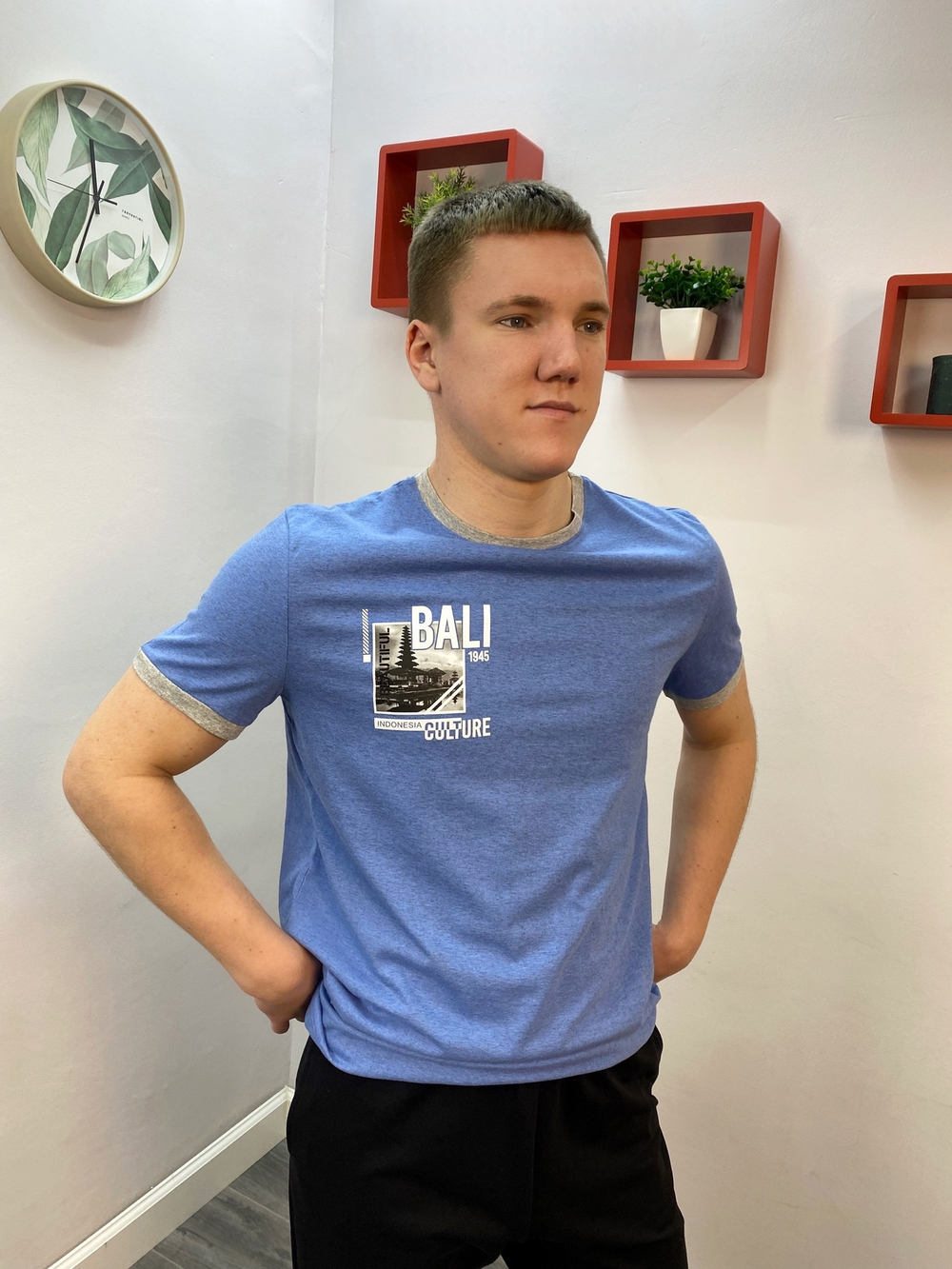 Футболка мужская "Норман" Ф-34 (149)