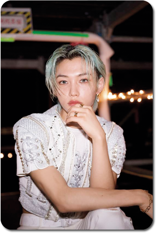 Карта / STRAY KIDS #0447