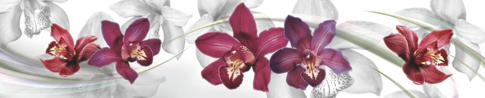 Кухонный фартук Орхидеи 3000х600 мм