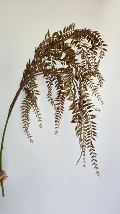 Рускус / Арт 4039