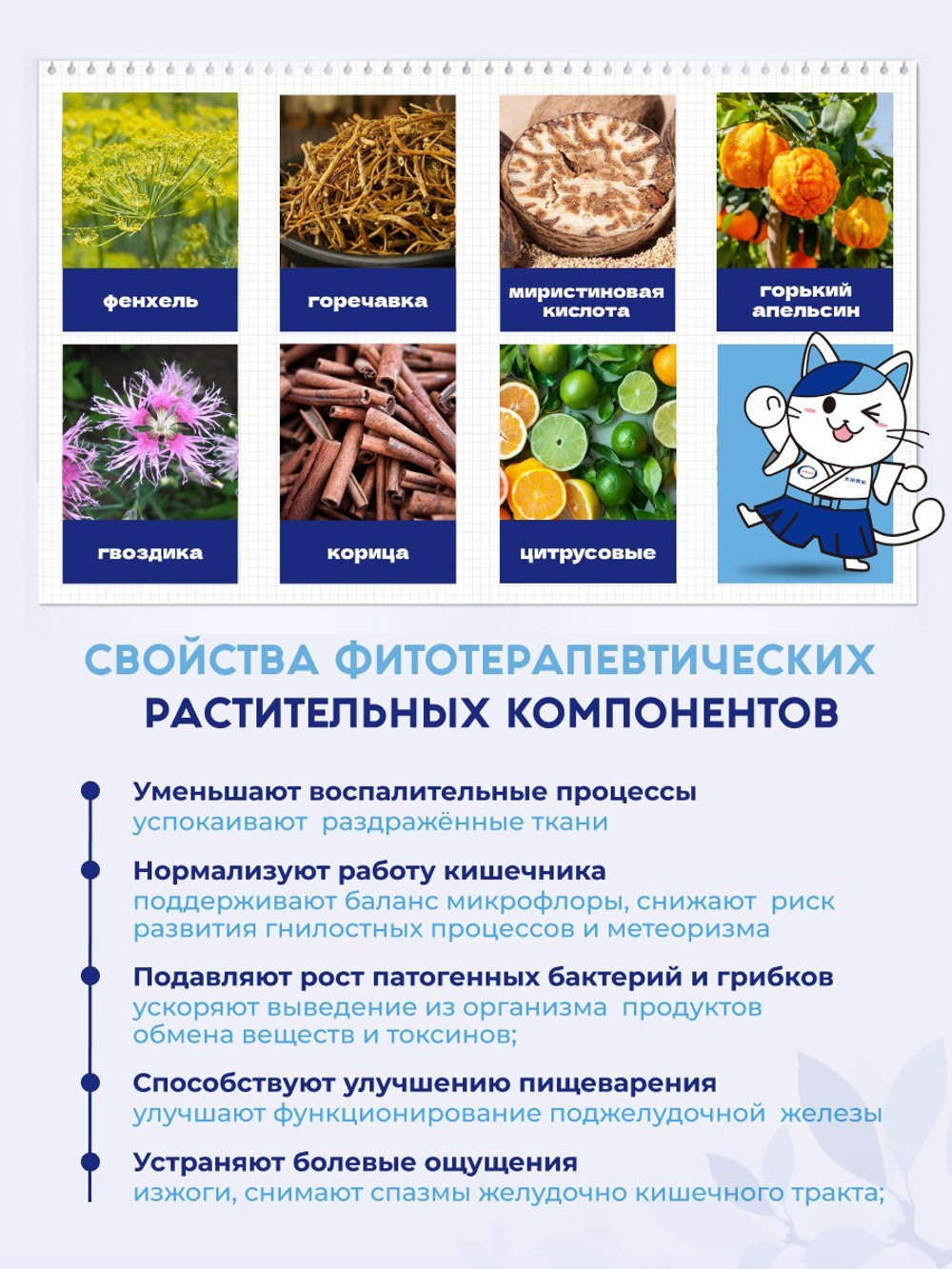 Ohta Isan Средство для желудка в гранулах 210g