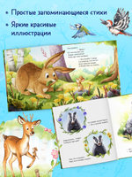 Книжки-картинки. Важный день малышки Мышки