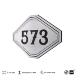 Номерок на дверь квартиры 573, для кабинета, офиса, шильдик 9 х 7 см, серебристый, Айдентика Технолоджи