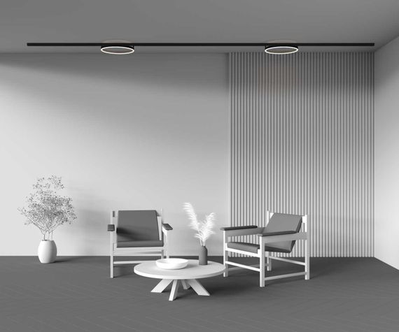 Трековый светильник Maytoni Technical TR227-2-24W4K-B