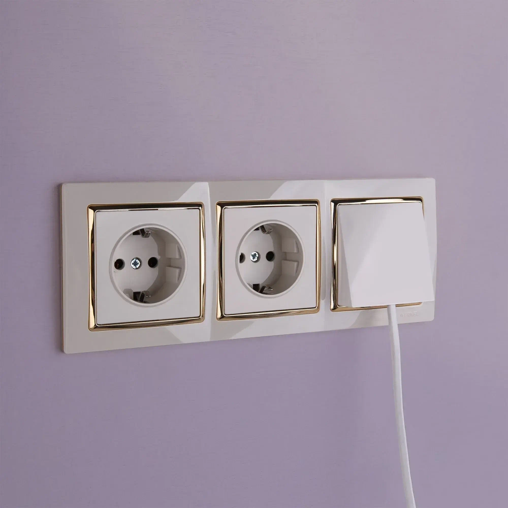 Розетка с заземлением (слоновая кость) W1171003