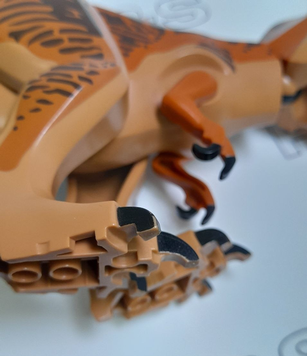 USED Тираннозавр trex02