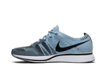 Кроссовки Nike Flyknit Trainer