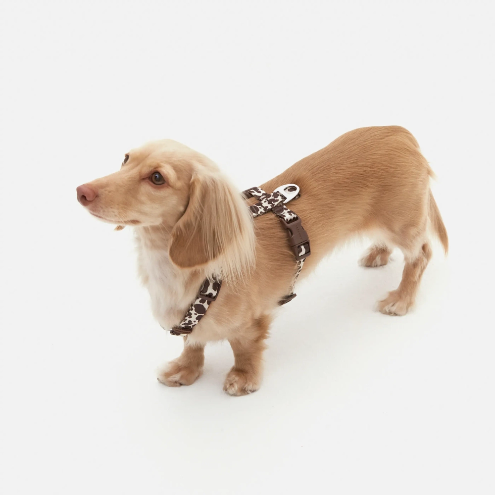 Анатомическая шлейка Cow