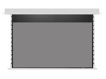 [LMRC-101106] Встраиваемый экран с электроприводом Lumien Master Recessed Control