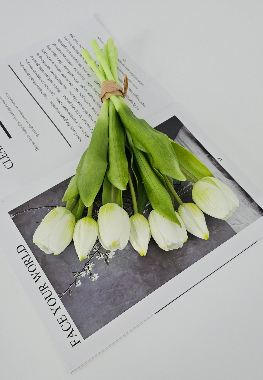 Тюльпаны 30 см 7 цветов / #05 (белый с зеленым)