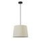 Подвес Lumion TUNE 8302/1