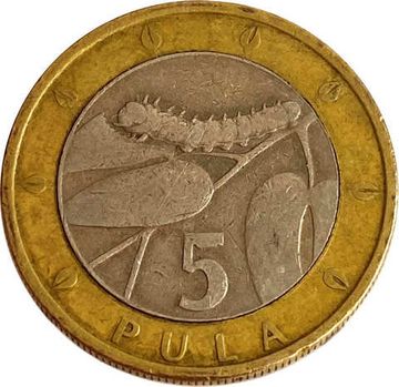 5 пул 2007 Ботсвана