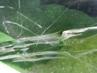 DSCN2651.jpg