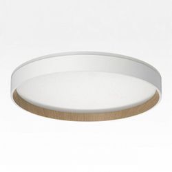 Накладной светильник Citilux ETALON CL750320R