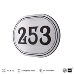 Номерок на дверь квартиры 253, для кабинета, офиса, шильдик 9 х 7 см, серебристый, Айдентика Технолоджи