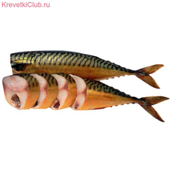 Скумбрия х/к б/г 300+ ТНС