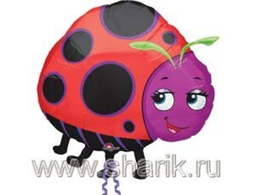 А ФИГУРА/P30 Божья коровка