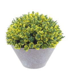 GAEM Цветочная композиция, L13 W13 H13 см, 5в.