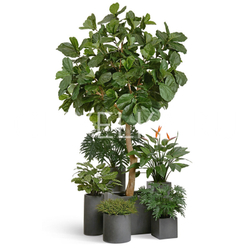 Кашпо TREEZ Effectory - Beton - Куб - Тёмно-серый бетон