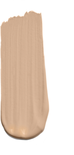 Dolce&Gabbana Flawless Everlast Foundation - Интенсивная непрозрачная тональная основа с SPF 20, 27 ml