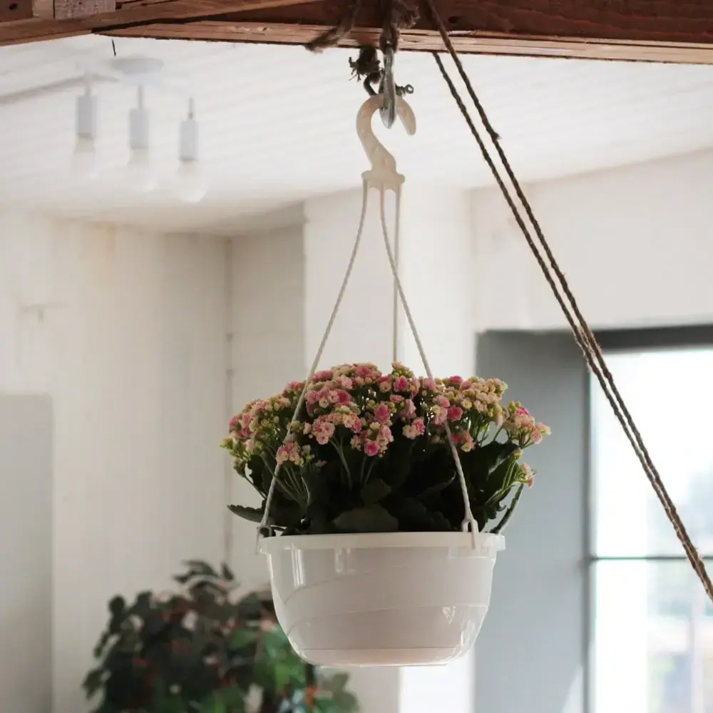 Горшок для цветов пластиковый 4,7л d-25см «Мальва» подвесной кремовый