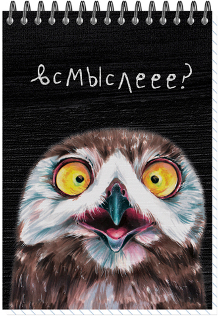 Блокнот формат А6 60 листов на металлическом гребне "Совы" нелинованный