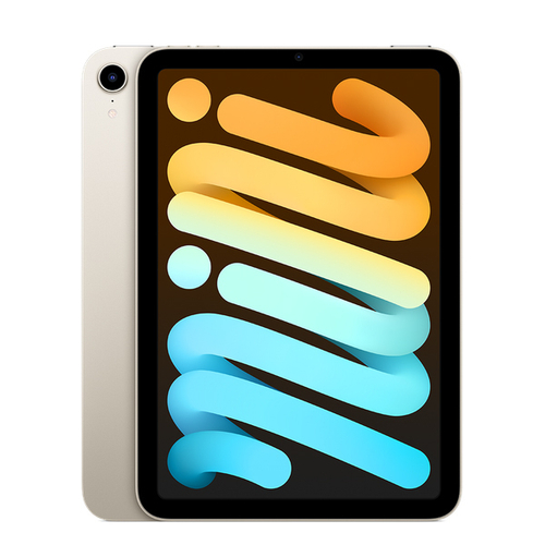 iPad mini Wi-Fi + Cellular 256Гб