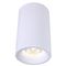 Потолочный светильник Arte Lamp Ugello A3105PL-1WH