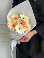 Кулек из гербер в кремовом оттенке 7 шт