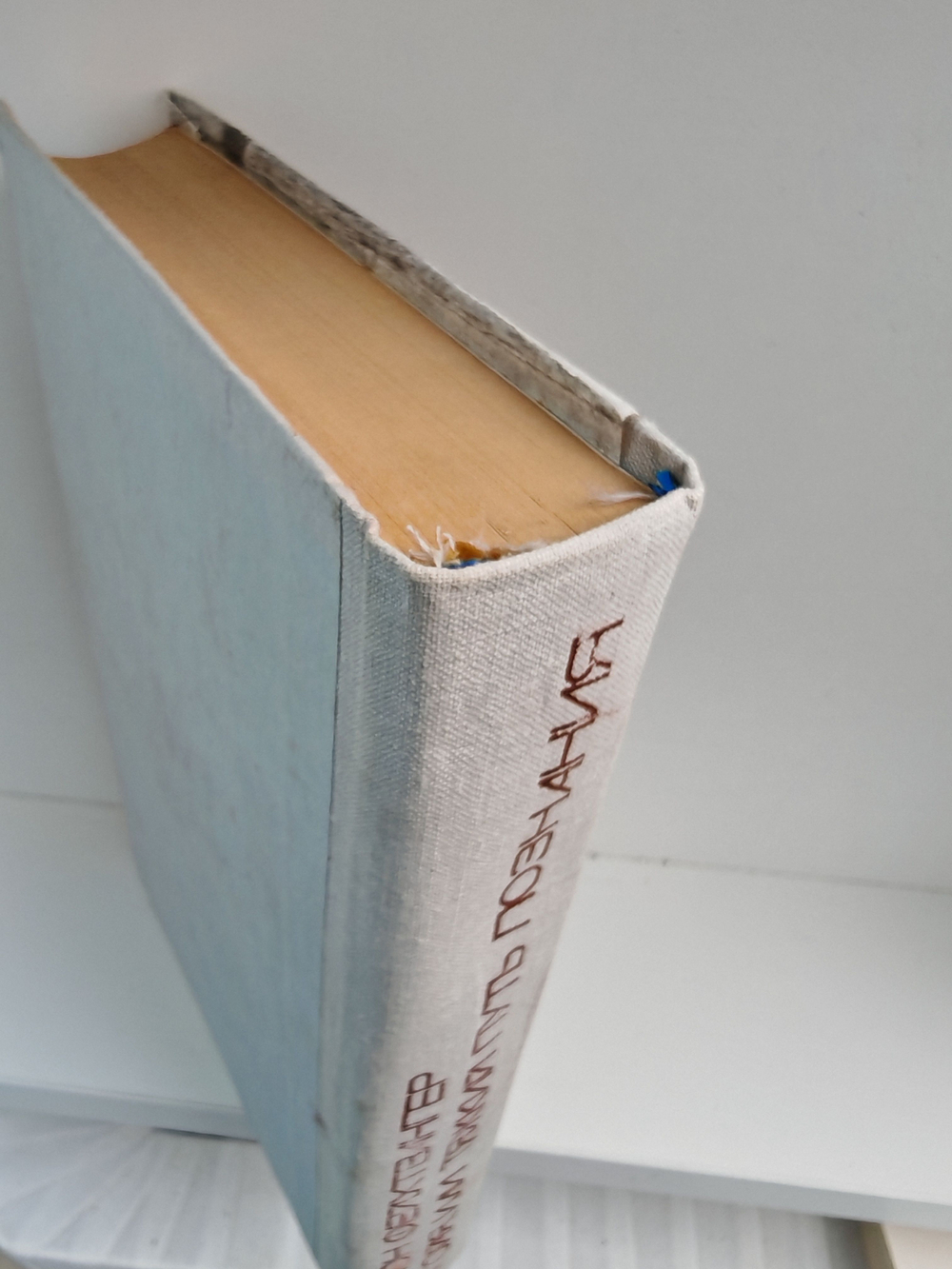 Гойя, или Тяжкий путь познания