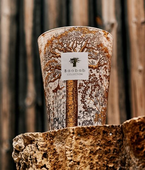 Dualla, свеча MAX 24 Sacred Trees collection, Baobab Collection