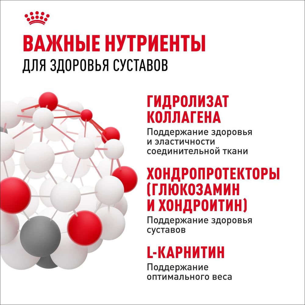 Royal Canin Maxi Joint Care Корм сухой для взрослых собак крупных размеров 10кг