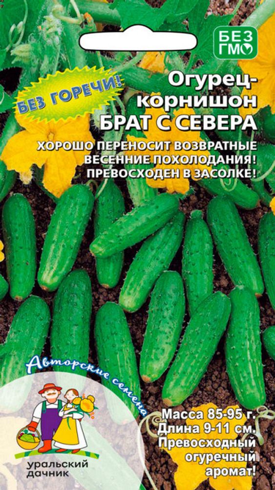 Огурец &quot;G. Брат с Севера&quot; 10шт., Россия.