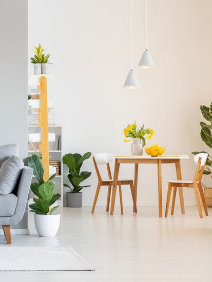 Подвесной светильник Freya FR8001PL-01WG