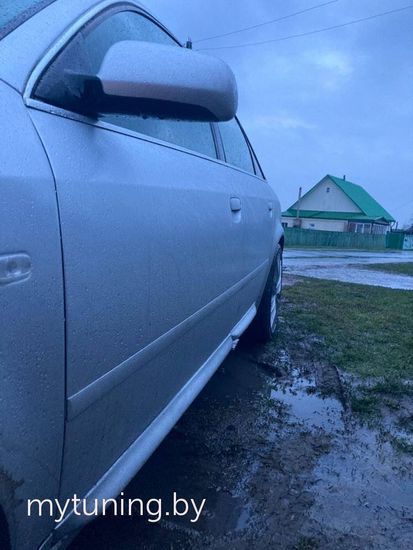 Листва (молдинги) на двери RS для Audi A6 S6 C5