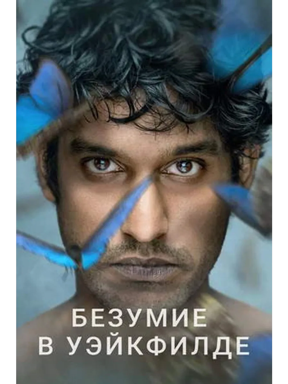 Безумие в Уэйкфилде, 1 сезон (DVD-R)