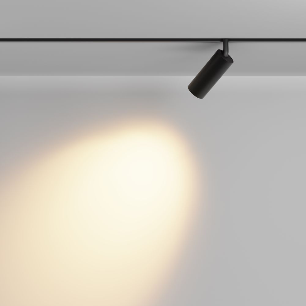 Трековый магнитный светодиодный светильник Maytoni   TR032-2-12W2.7K-M-B