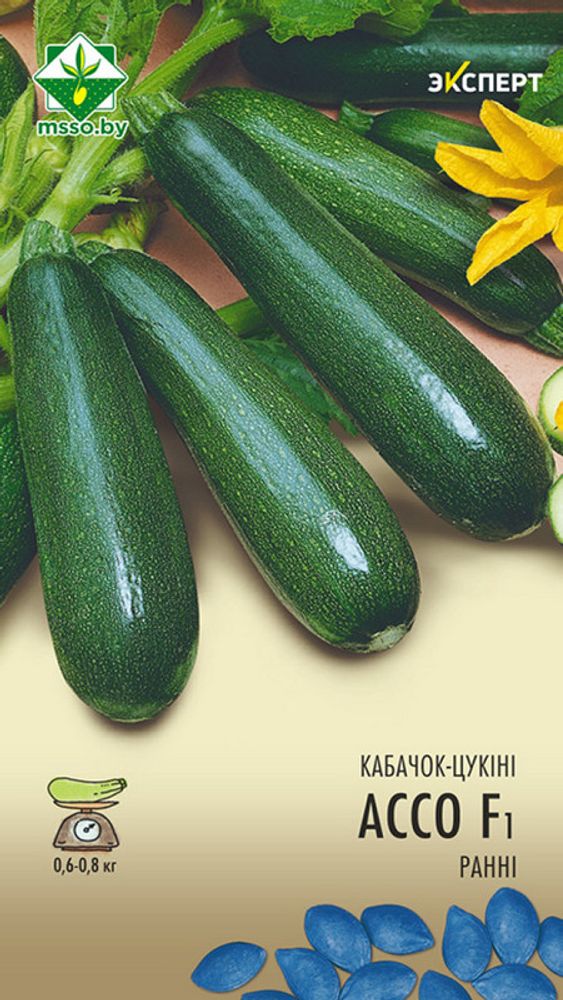 Кабачок &quot;Ассо F1&quot; 6шт, Нидерланды.