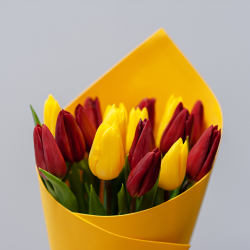 15 красно-желтых тюльпанов в оформлении