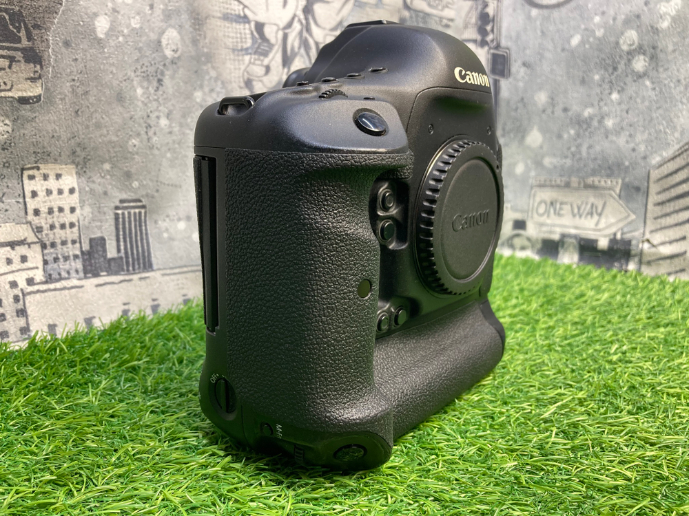 Canon EOS 1DX (257.000 кадров)