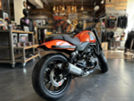 HARLEY-DAVIDSON X™ 500 2024 с НДС