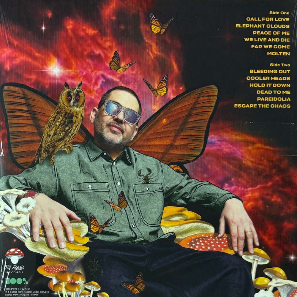 Виниловая пластинка Morcheeba ‎– Escape The Chaos LP Green