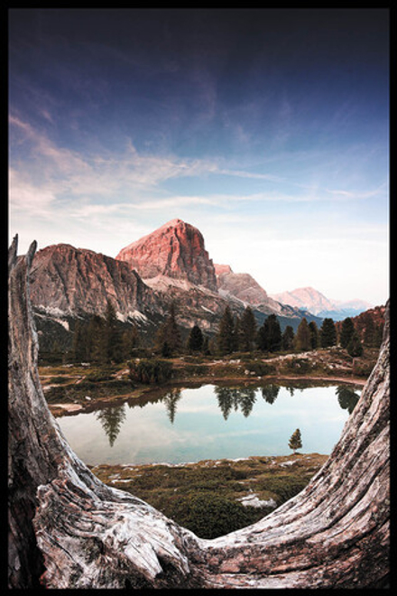 Интерьерная картина в технике цифровой печати. АРТ 077 Природа