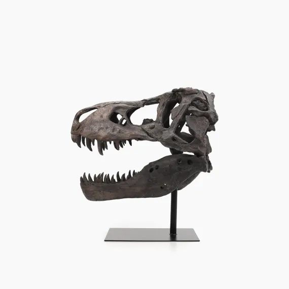 Рекс Декор 49х29х50см