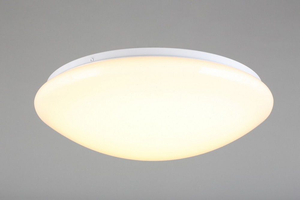 Накладной светильник Omnilux Berkeley OML-43007-40