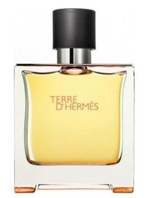 Hermes Terre D'Hermes Parfum